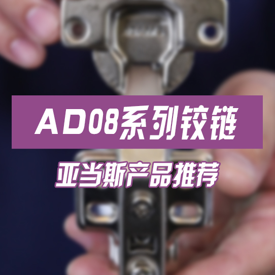 AD08系列铰链